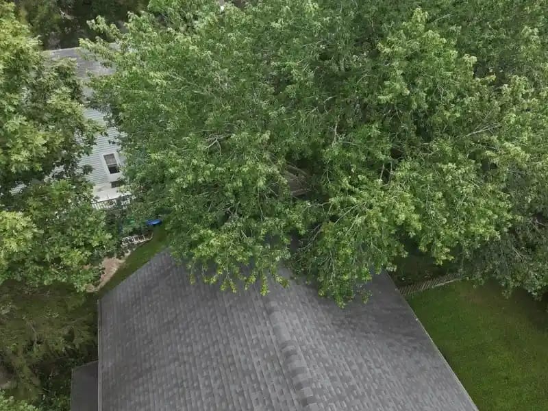 Vue aérienne d’arbres situés à proximité de bâtiments ruraux
