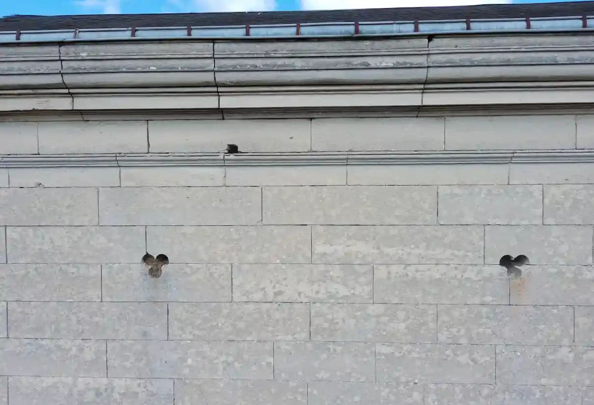 Prise de vue aérienne de la chapelle à Magny-en-Vexin – Val-d’Oise
