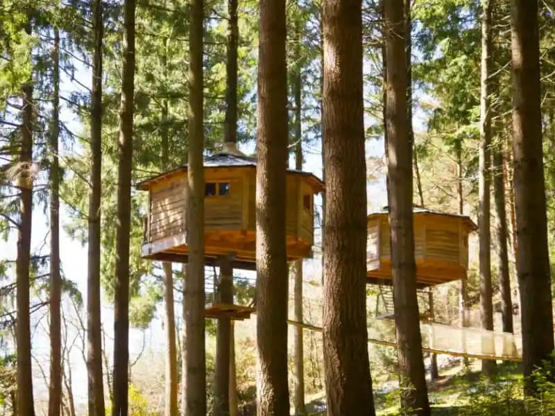 Cabane perchée dans les arbres pour hébergement touristique insolite