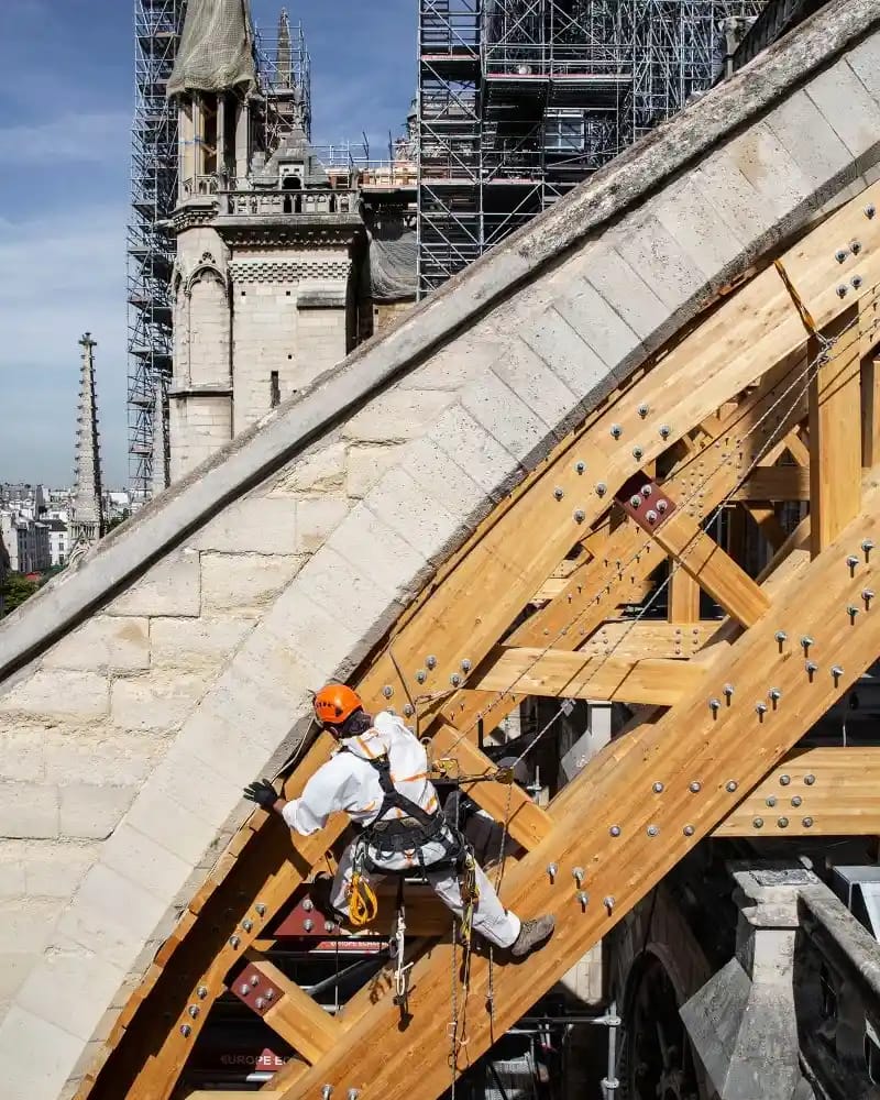 Un engagement collectif pour la sauvegarde de Notre-Dame de Paris
