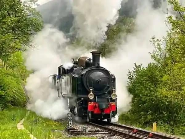 Locomotive à vapeur historique en circulation dans un paysage ferroviaire