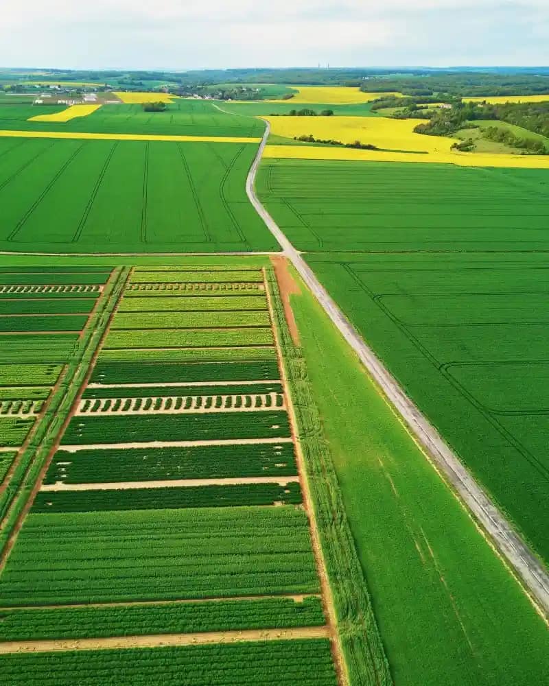 Vue aérienne par drone de champs et d’un territoire rural